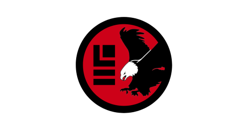 WG EAGLE LOGO